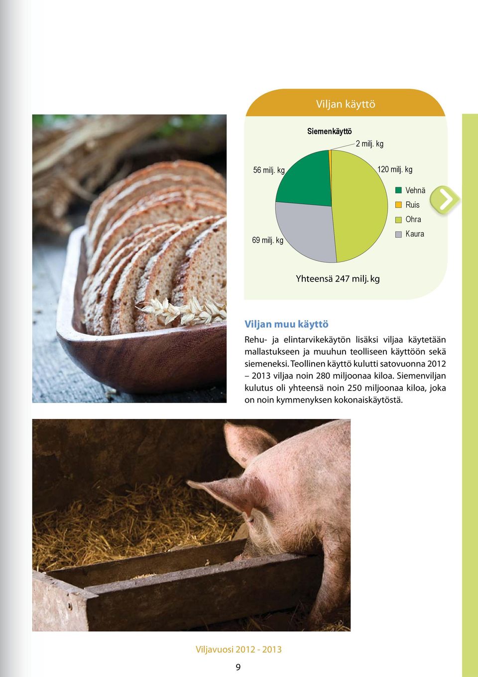 kg Viljan muu käyttö Rehu- ja elintarvikekäytön lisäksi viljaa käytetään mallastukseen ja muuhun teolliseen
