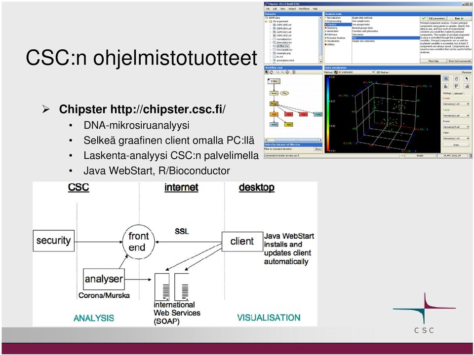 fi/ DNA-mikrosiruanalyysi Selkeä graafinen