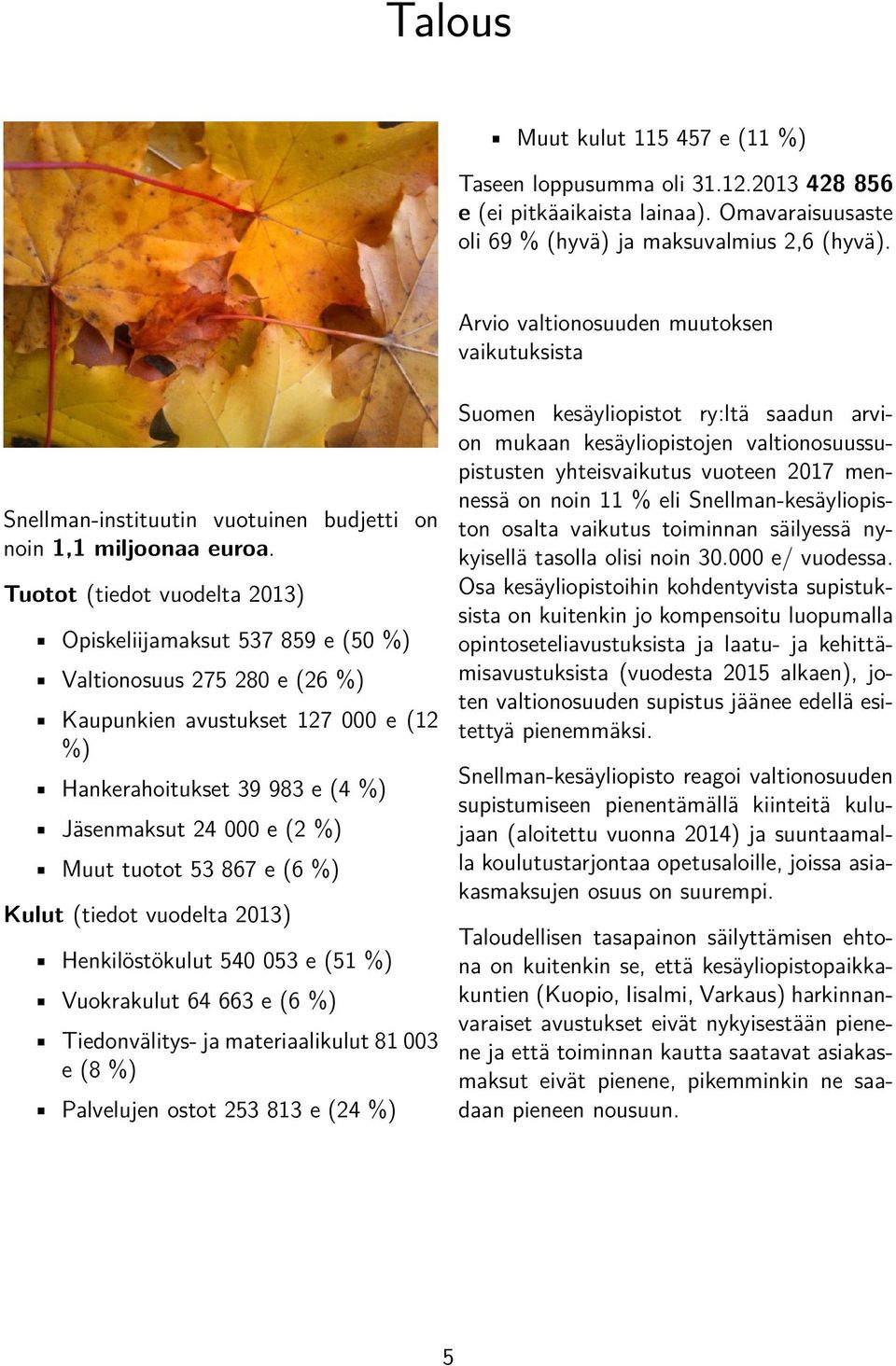 Tuotot (tiedot vuodelta 2013) Opiskeliijamaksut 537 859 e (50 %) Valtionosuus 275 280 e (26 %) Kaupunkien avustukset 127 000 e (12 %) Hankerahoitukset 39 983 e (4 %) Jäsenmaksut 24 000 e (2 %) Muut