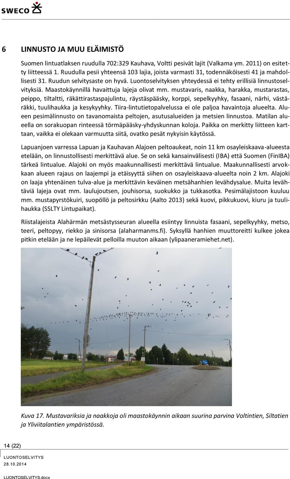 Maastokäynnillä havaittuja lajeja olivat mm.