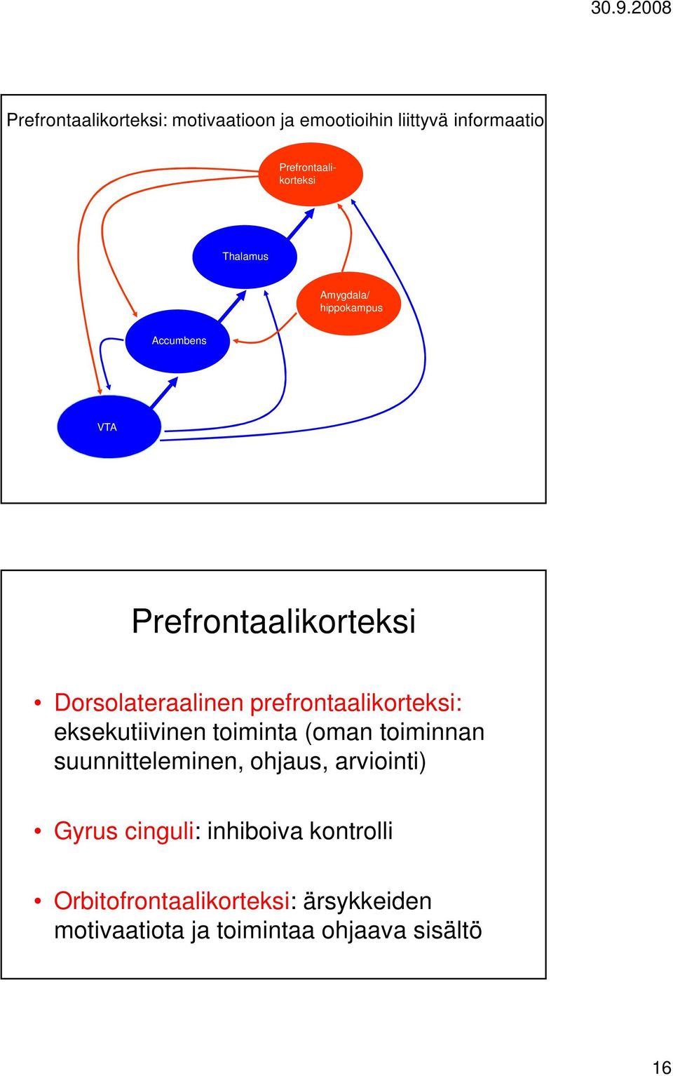 prefrontaalikorteksi: eksekutiivinen toiminta (oman toiminnan suunnitteleminen, ohjaus,