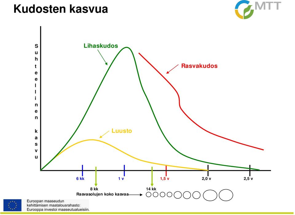 Rasvakudos 6 kk 1 v 1,5 v 2,0 v 2,5