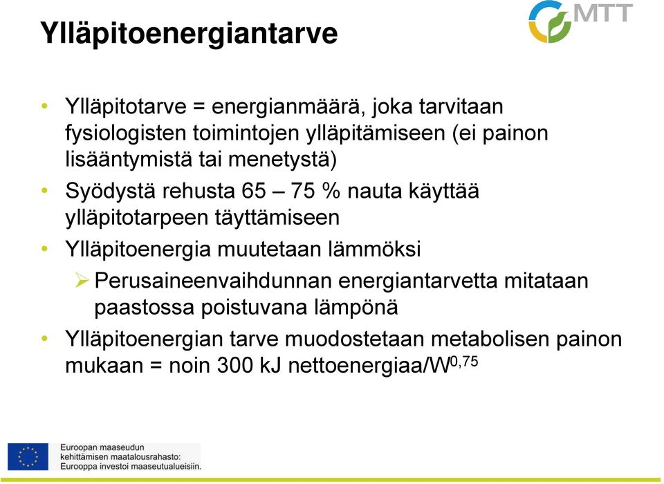 ylläpitotarpeen täyttämiseen Ylläpitoenergia muutetaan lämmöksi Perusaineenvaihdunnan energiantarvetta