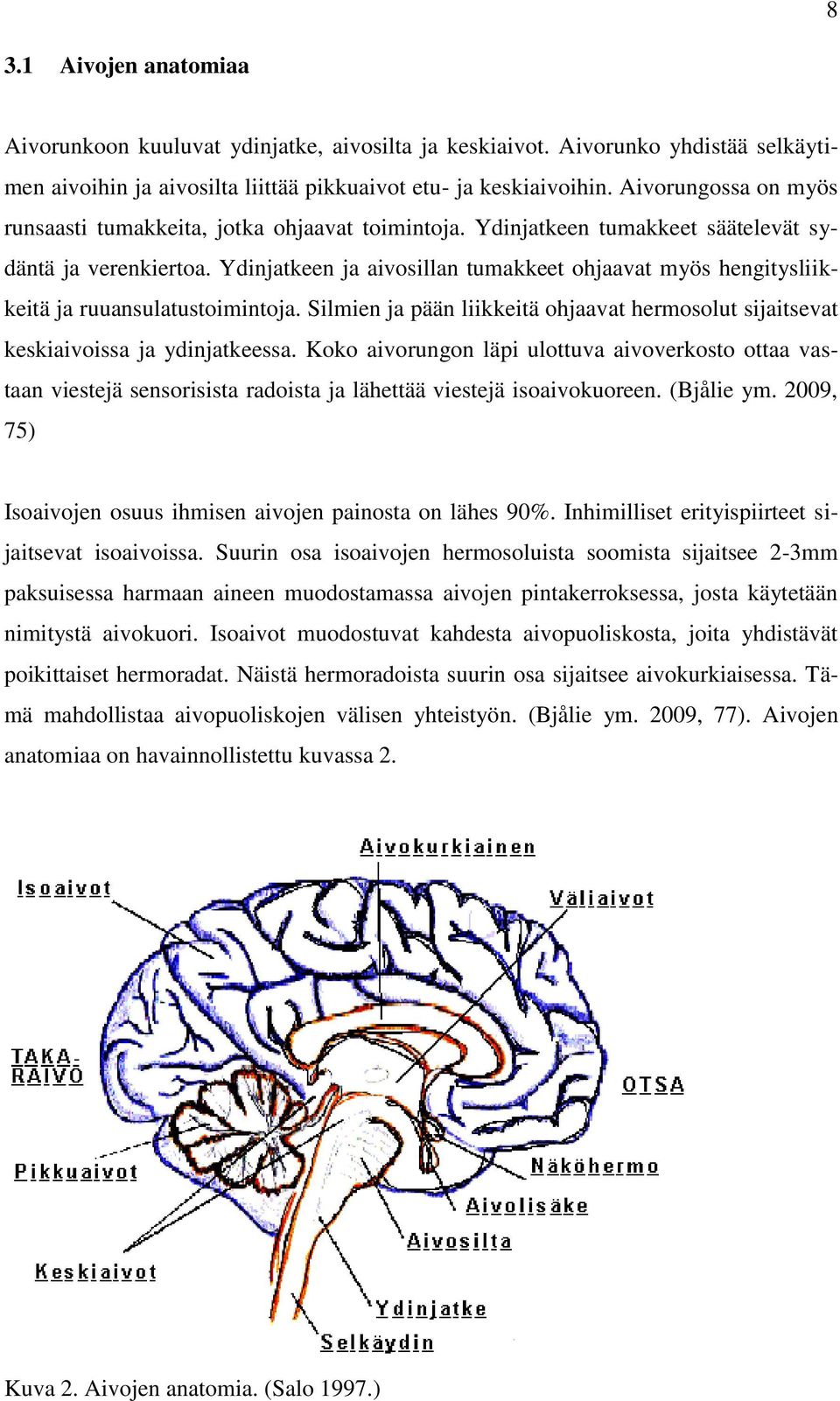 Ydinjatkeen ja aivosillan tumakkeet ohjaavat myös hengitysliikkeitä ja ruuansulatustoimintoja. Silmien ja pään liikkeitä ohjaavat hermosolut sijaitsevat keskiaivoissa ja ydinjatkeessa.