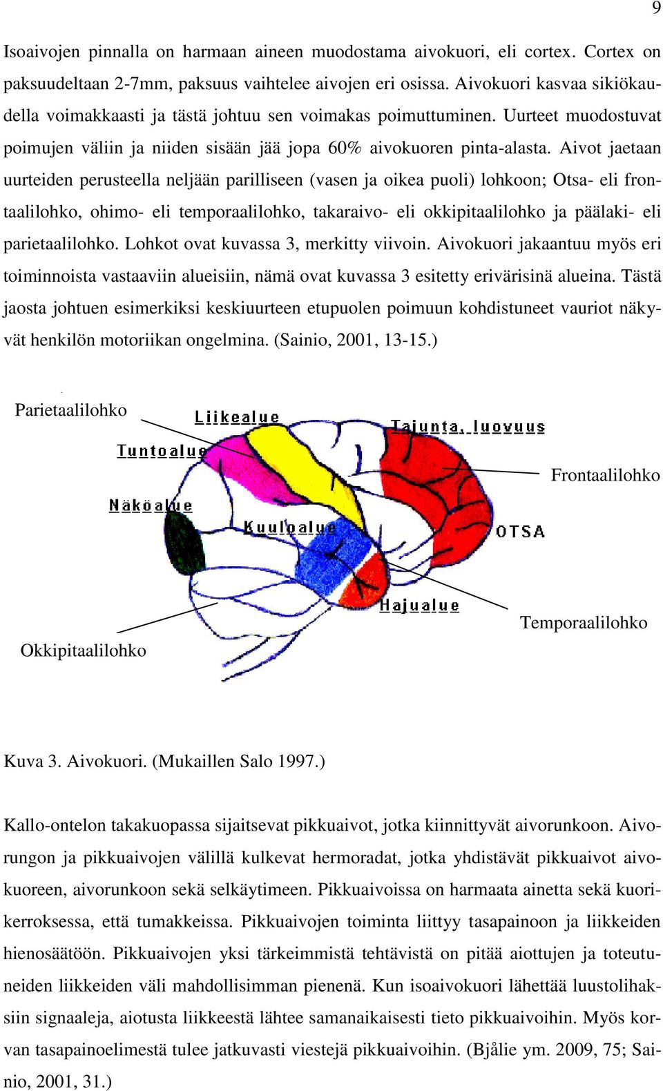 Aivot jaetaan uurteiden perusteella neljään parilliseen (vasen ja oikea puoli) lohkoon; Otsa- eli frontaalilohko, ohimo- eli temporaalilohko, takaraivo- eli okkipitaalilohko ja päälaki- eli