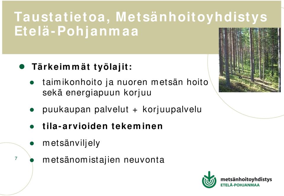 sekä energiapuun korjuu puukaupan palvelut + korjuupalvelu