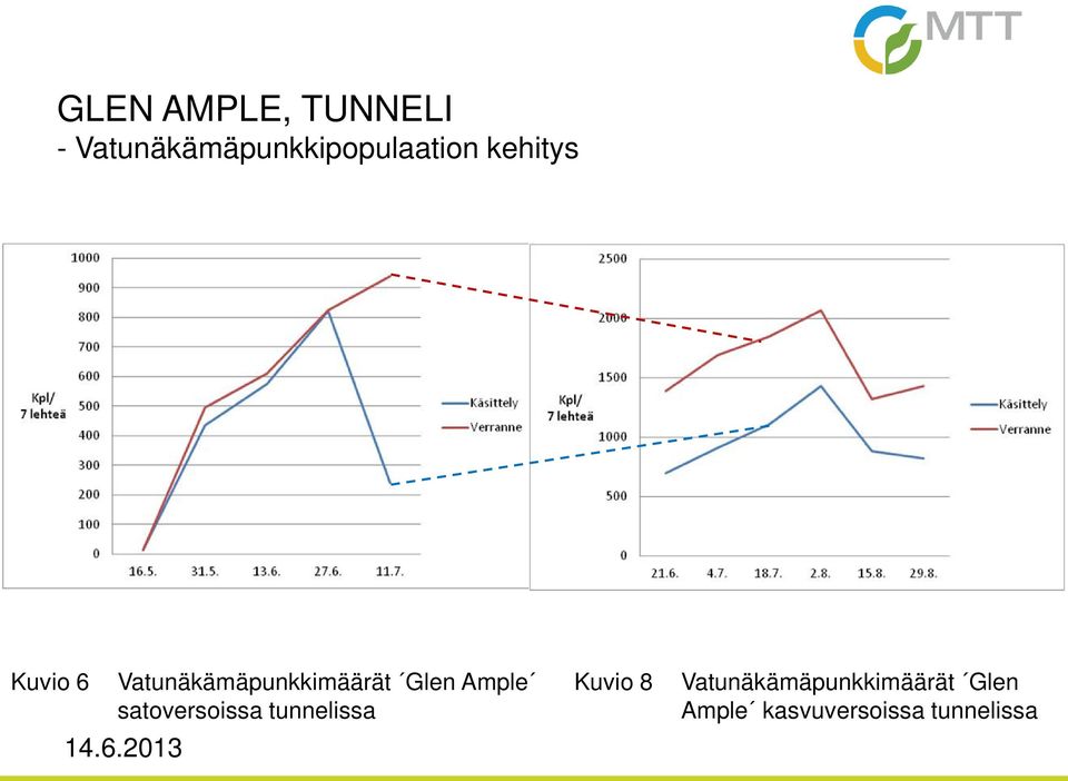 Vatunäkämäpunkkimäärät Glen Ample satoversoissa