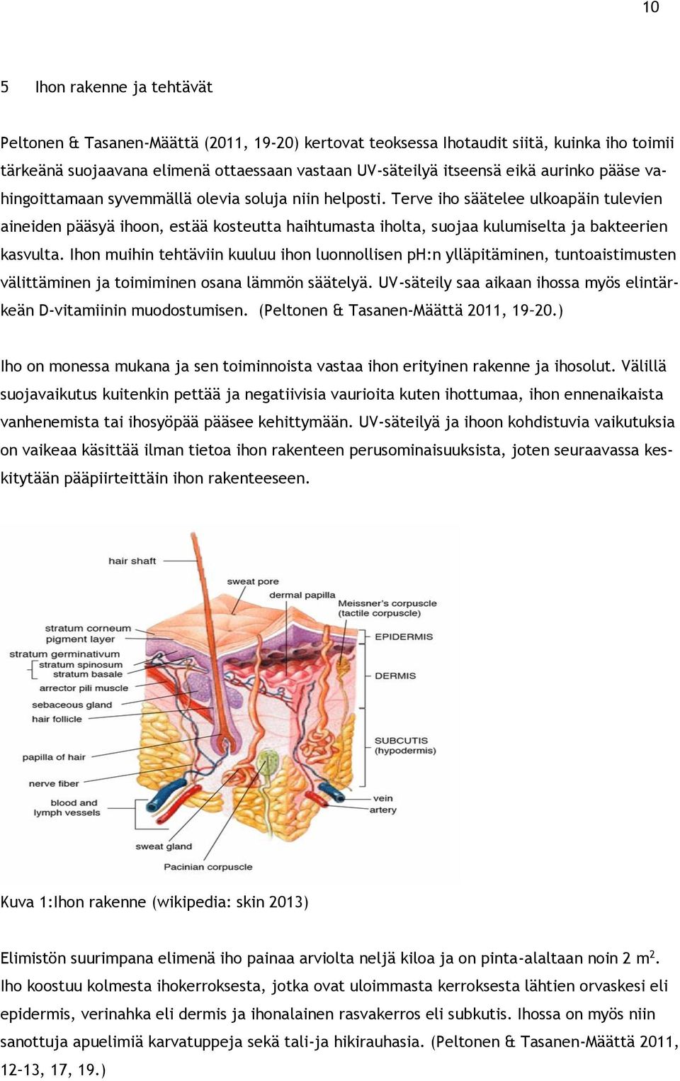 Terve iho säätelee ulkoapäin tulevien aineiden pääsyä ihoon, estää kosteutta haihtumasta iholta, suojaa kulumiselta ja bakteerien kasvulta.