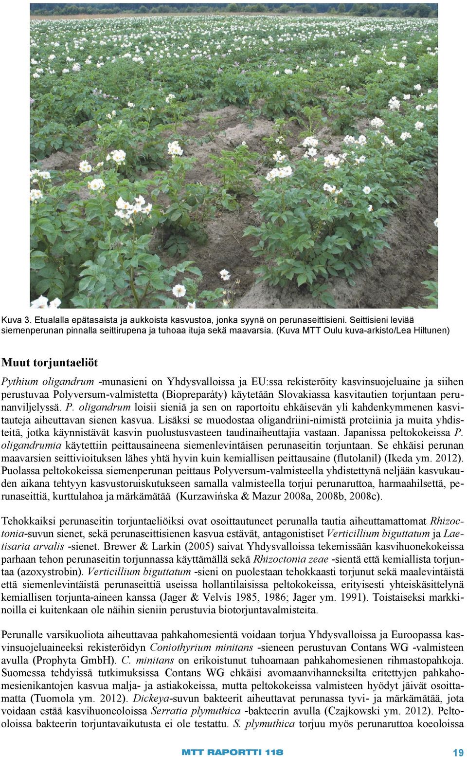 (Biopreparáty) käytetään Slovakiassa kasvitautien torjuntaan perunanviljelyssä. P. oligandrum loisii sieniä ja sen on raportoitu ehkäisevän yli kahdenkymmenen kasvitauteja aiheuttavan sienen kasvua.