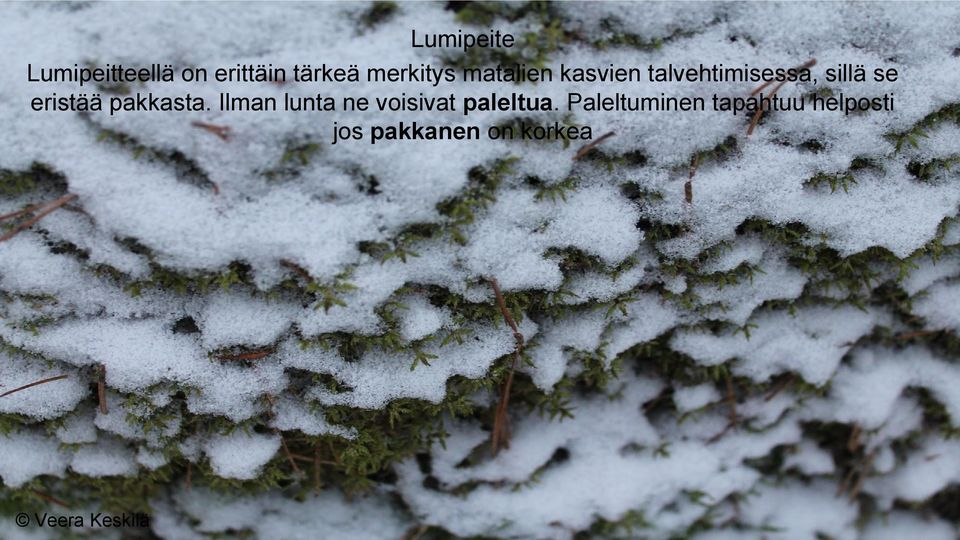 se eristää pakkasta.