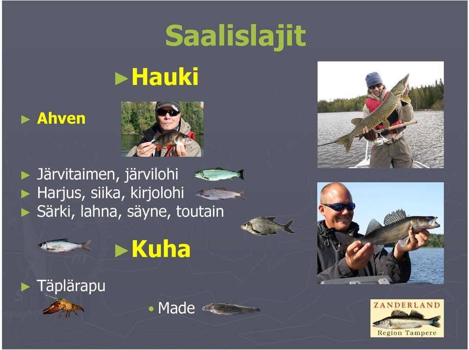 Harjus, siika, kirjolohi