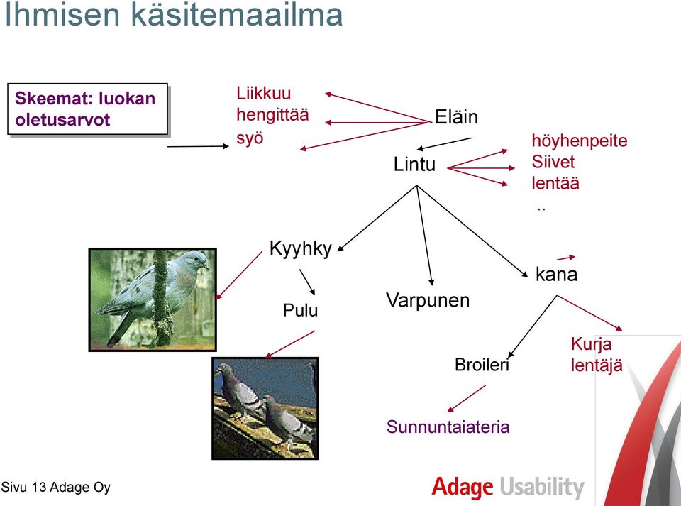 höyhenpeite Siivet lentää.