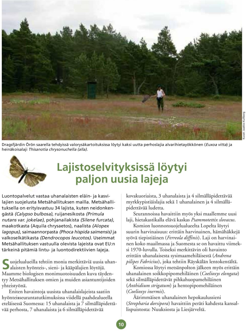 Metsähallituksella on erityisvastuu 34 lajista, kuten neidonkengästä (Calypso bulbosa), ruijanesikosta (Primula nutans var.