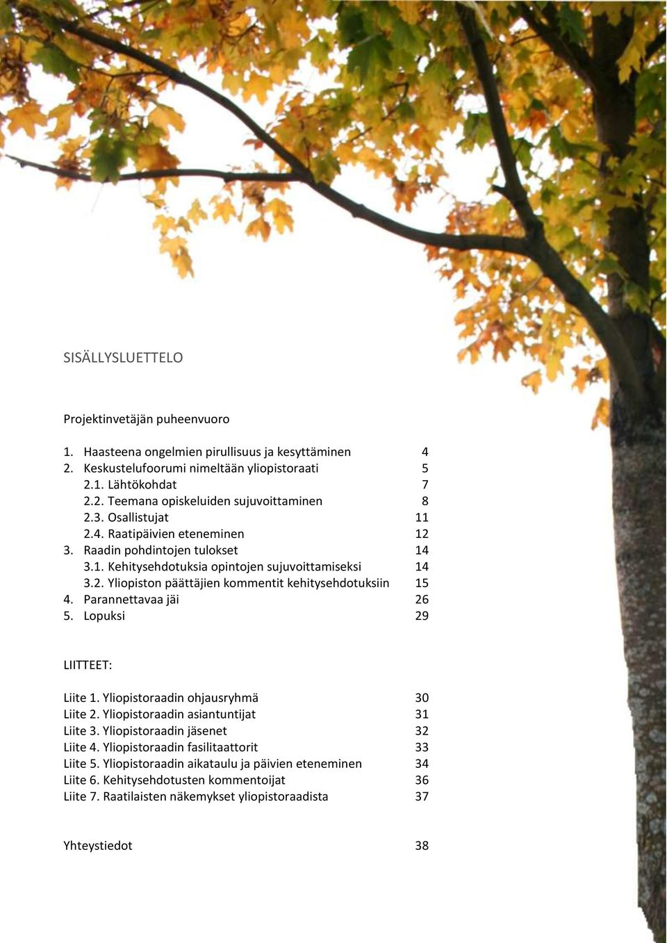 Parannettavaa jäi 26 5. Lopuksi 29 LIITTEET: Liite 1. Yliopistoraadin ohjausryhmä 30 Liite 2. Yliopistoraadin asiantuntijat 31 Liite 3. Yliopistoraadin jäsenet 32 Liite 4.