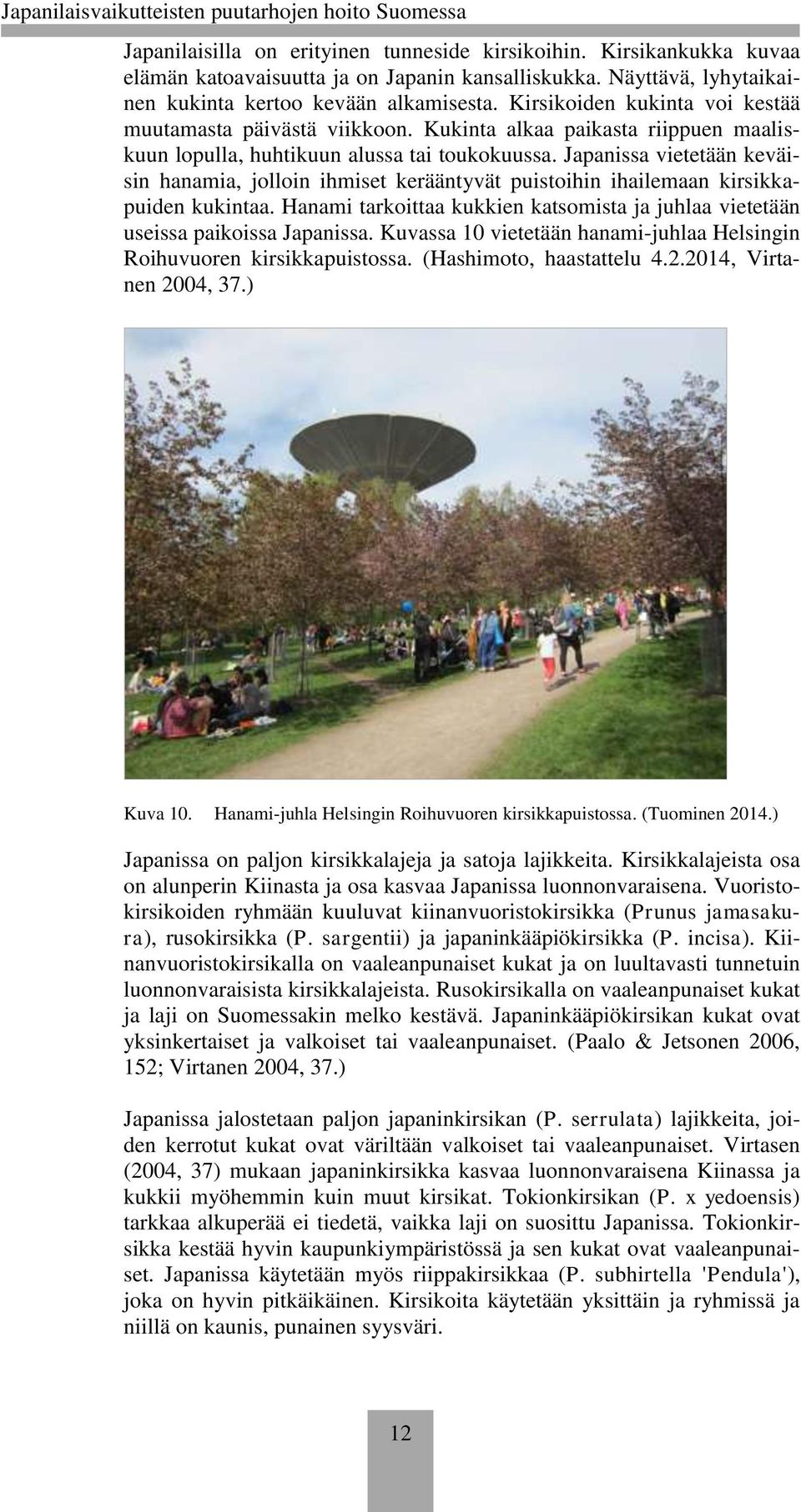Japanissa vietetään keväisin hanamia, jolloin ihmiset kerääntyvät puistoihin ihailemaan kirsikkapuiden kukintaa. Hanami tarkoittaa kukkien katsomista ja juhlaa vietetään useissa paikoissa Japanissa.