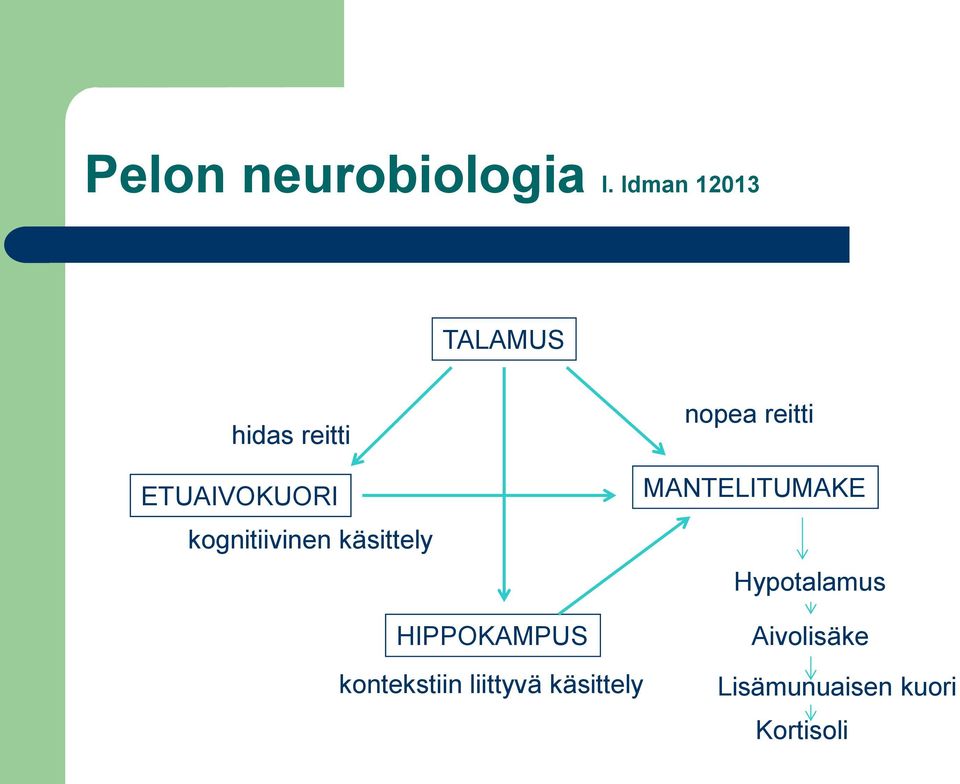 kognitiivinen käsittely nopea reitti MANTELITUMAKE