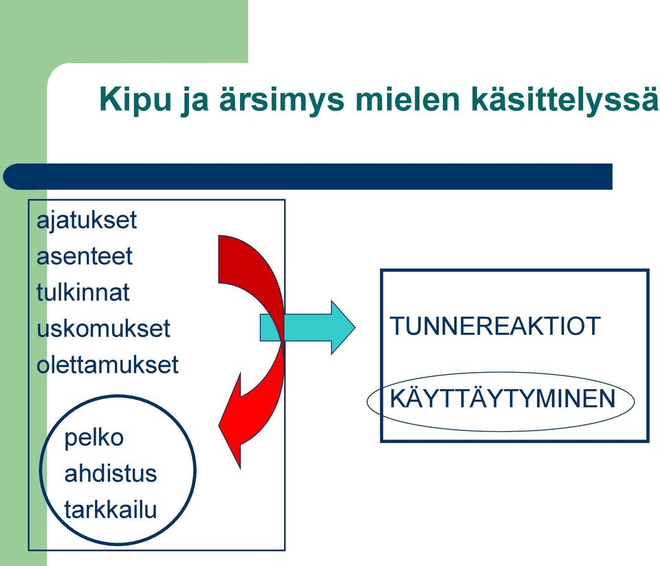 uskomukset olettamukset pelko