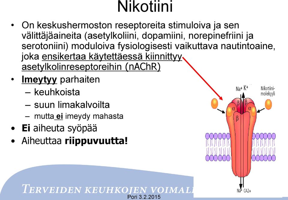 joka ensikertaa käytettäessä kiinnittyy asetylkolinreseptoreihin (nachr) Imeytyy parhaiten