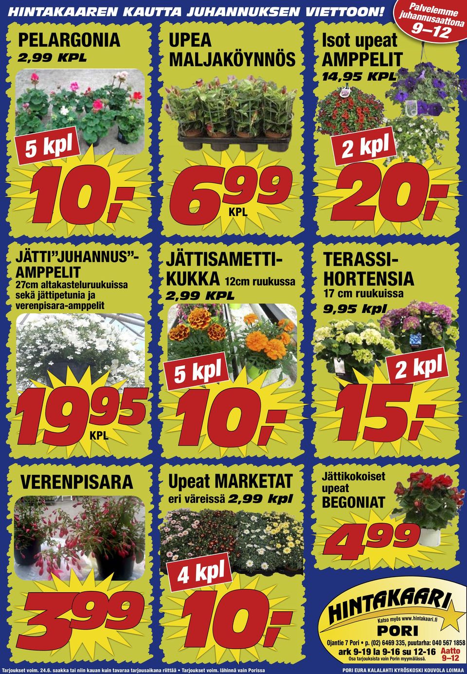 12cm ruukussa 2,99 KPL TERASSI- HORTENSIA 17 cm ruukuissa 9, kpl 5 kpl 19 10,- KPL 2 kpl VERENPISARA Upeat