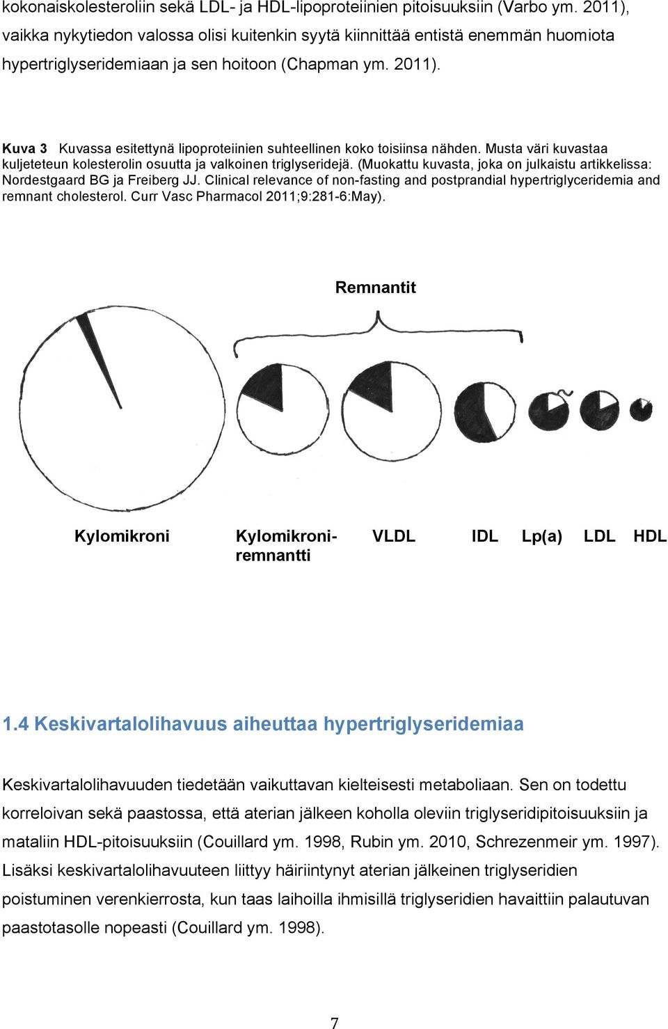 Kuva 3 Kuvassa esitettynä lipoproteiinien suhteellinen koko toisiinsa nähden. Musta väri kuvastaa kuljeteteun kolesterolin osuutta ja valkoinen triglyseridejä.