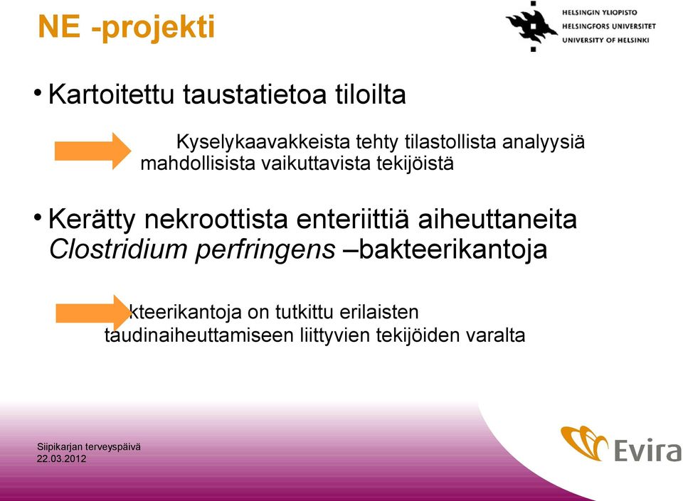 nekroottista enteriittiä aiheuttaneita Clostridium perfringens