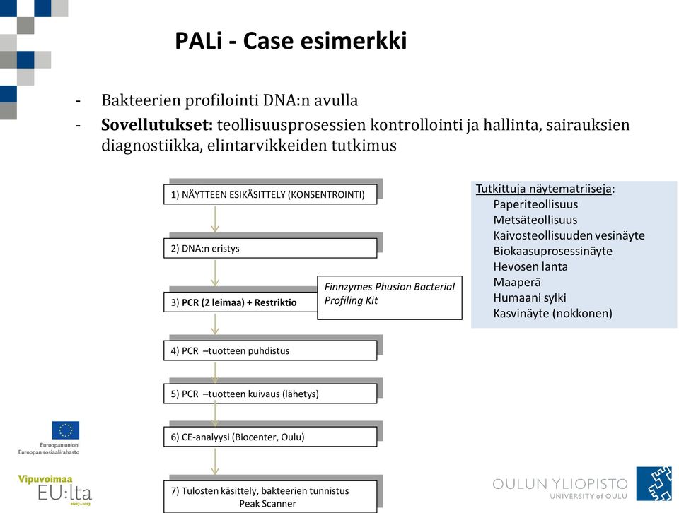 eristys 3) PCR (2 leimaa) + Restriktio Finnzymes Phusion Bacterial Profiling Kit 4) PCR tuotteen puhdistus 5) PCR