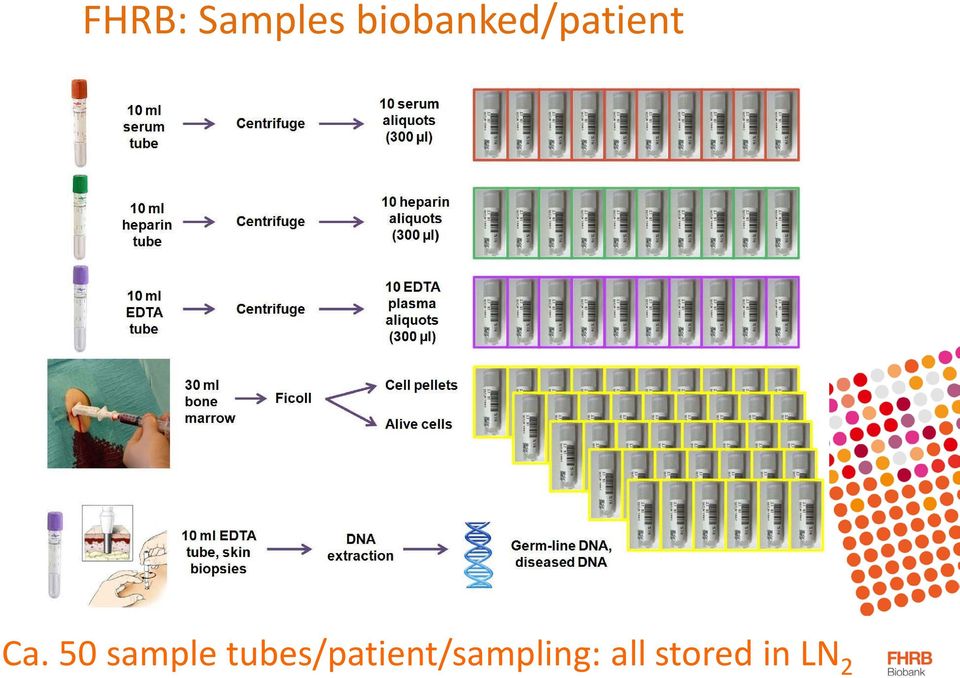 50 Hematology sample Research