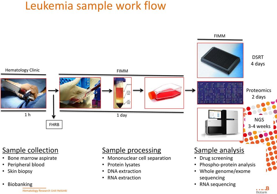 Biobanking Sample processing Mononuclear cell separation Protein lysates DNA extraction RNA