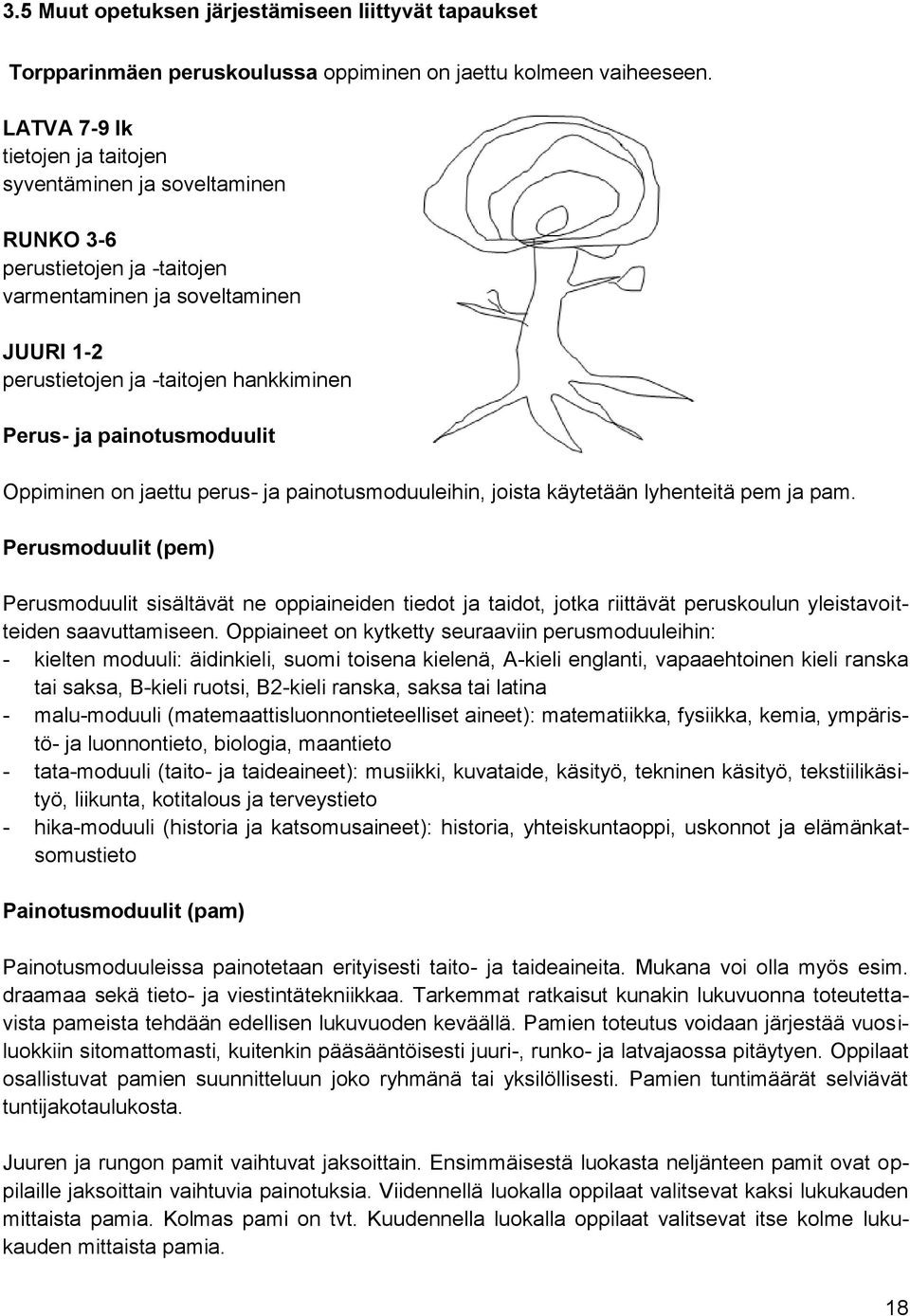 painotusmoduulit Oppiminen on jaettu perus- ja painotusmoduuleihin, joista käytetään lyhenteitä pem ja pam.