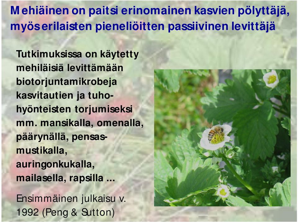 biotorjuntamikrobeja kasvitautien ja tuhohyönteisten torjumiseksi mm.