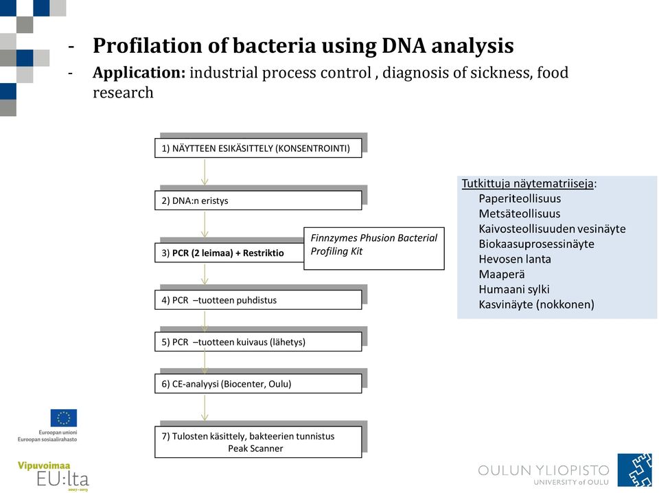 Restriktio Finnzymes Phusion Bacterial Profiling Kit 4) PCR tuotteen puhdistus 5) PCR tuotteen
