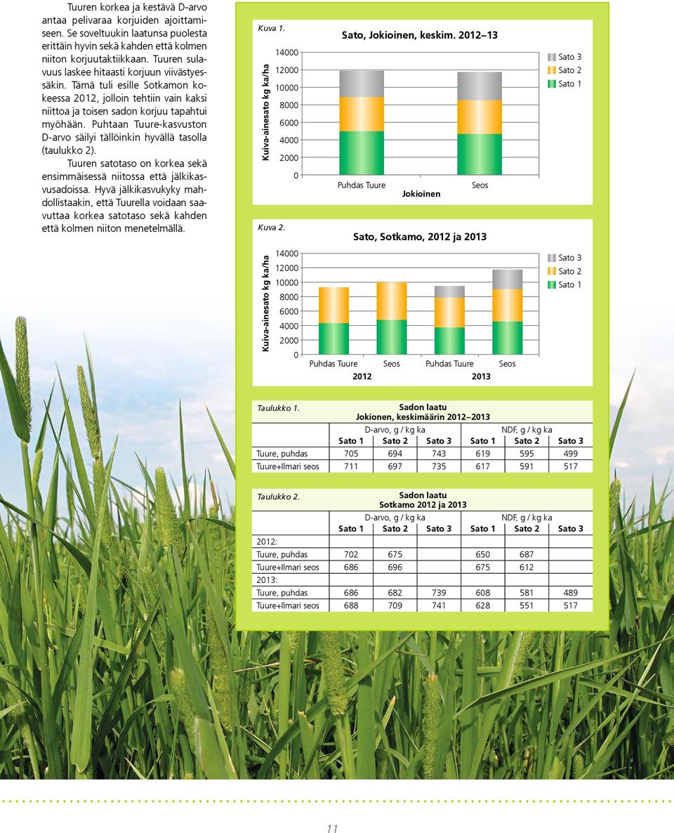 Puhtaan Tuure-kasvuston D-arvo säilyi tällöinkin hyvällä tasolla (taulukko 2). Tuuren satotaso on korkea sekä ensimmäisessä niitossa että jälkikasvusadoissa.