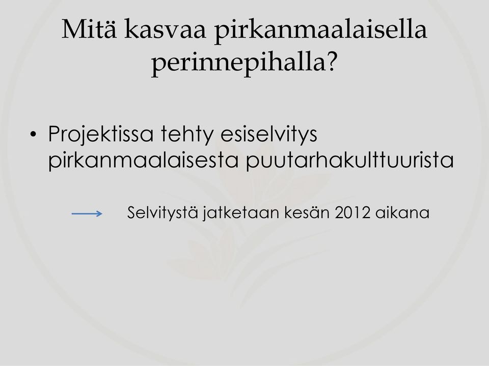 Projektissa tehty esiselvitys