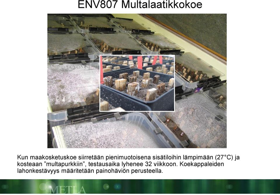 kosteaan multapurkkiin, testausaika lyhenee 32 viikkoon.