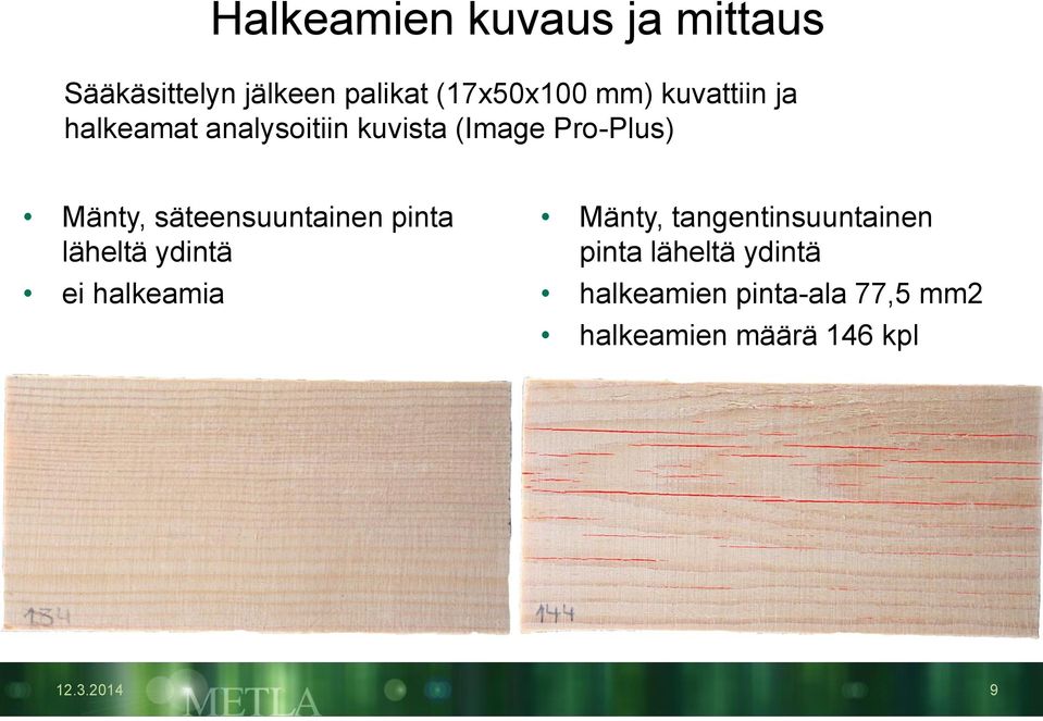 säteensuuntainen pinta läheltä ydintä ei halkeamia Mänty,