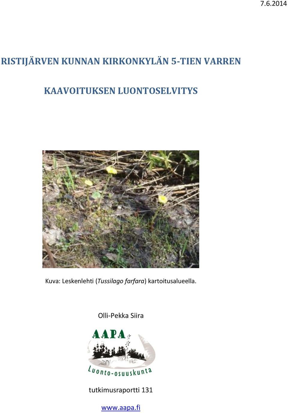 Kuva: Leskenlehti (Tussilago farfara)