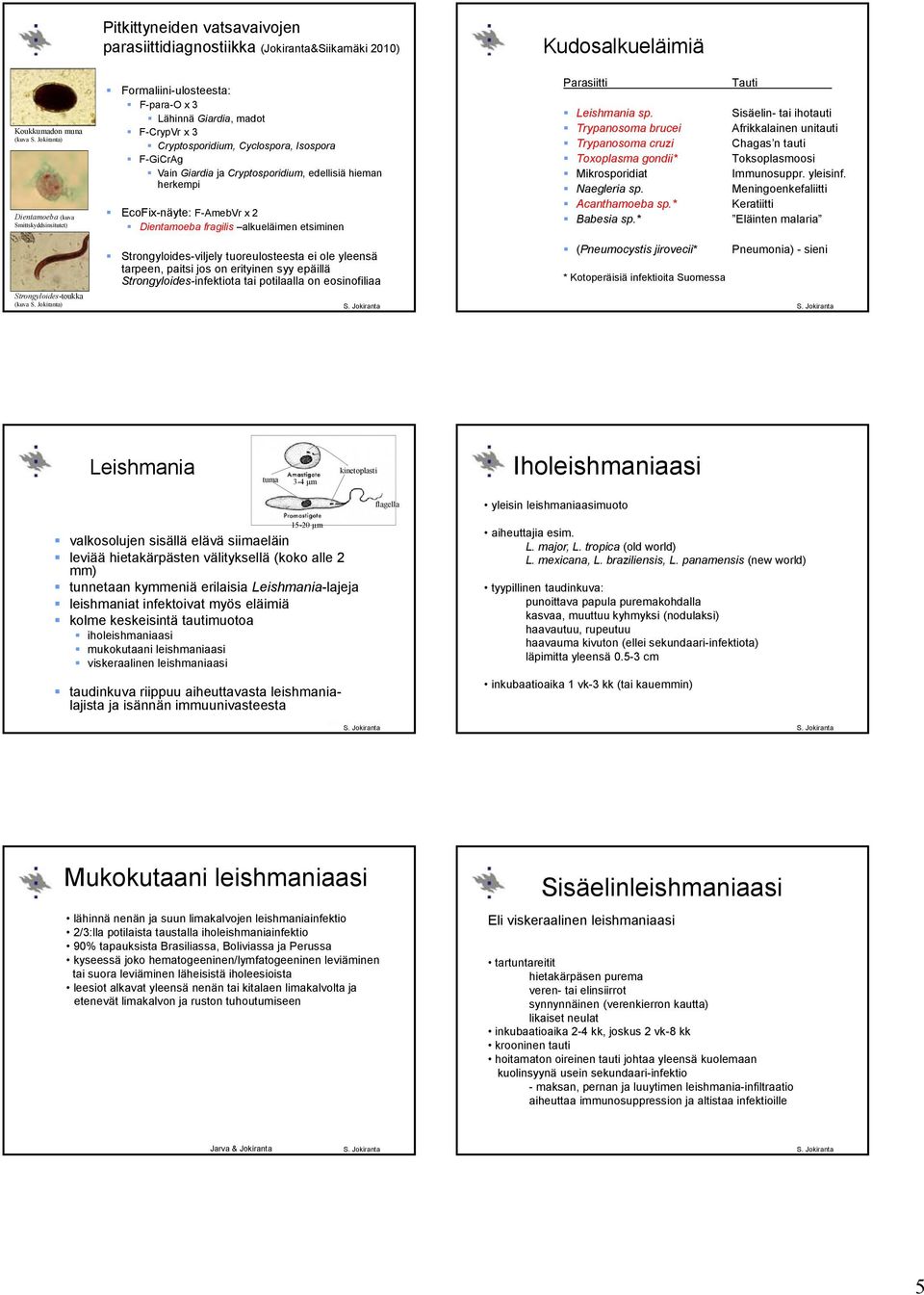 alkueläimen etsiminen Parasiitti Leishmania sp. Trypanosoma brucei Trypanosoma cruzi Toxoplasma gondii* Mikrosporidiat Naegleria sp. Acanthamoeba sp.* Babesia sp.