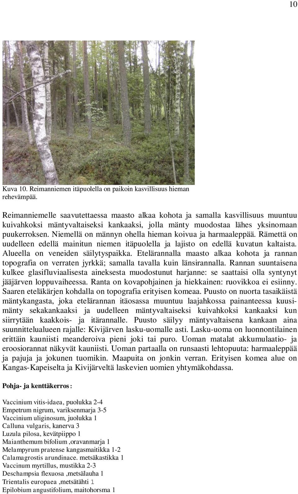 Niemellä on männyn ohella hieman koivua ja harmaaleppää. Rämettä on uudelleen edellä mainitun niemen itäpuolella ja lajisto on edellä kuvatun kaltaista. Alueella on veneiden säilytyspaikka.