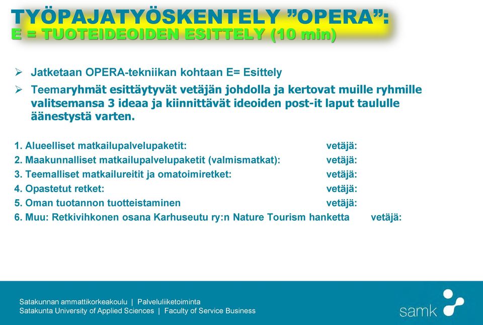 Alueelliset matkailupalvelupaketit: vetäjä: 2. Maakunnalliset matkailupalvelupaketit (valmismatkat): vetäjä: 3.