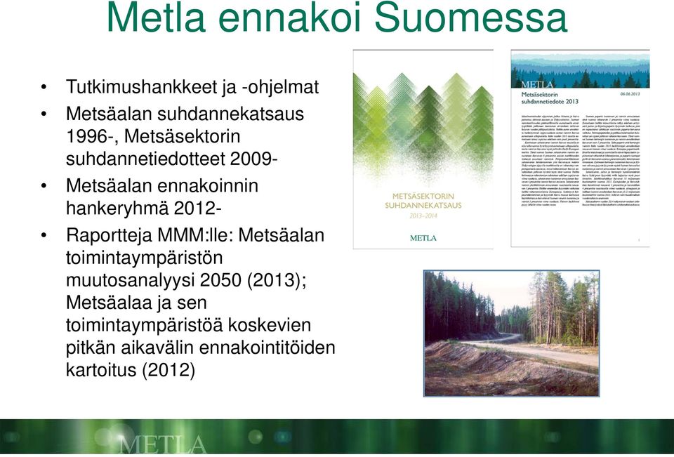 Raportteja MMM:lle: Metsäalan toimintaympäristön muutosanalyysi 2050 (2013);