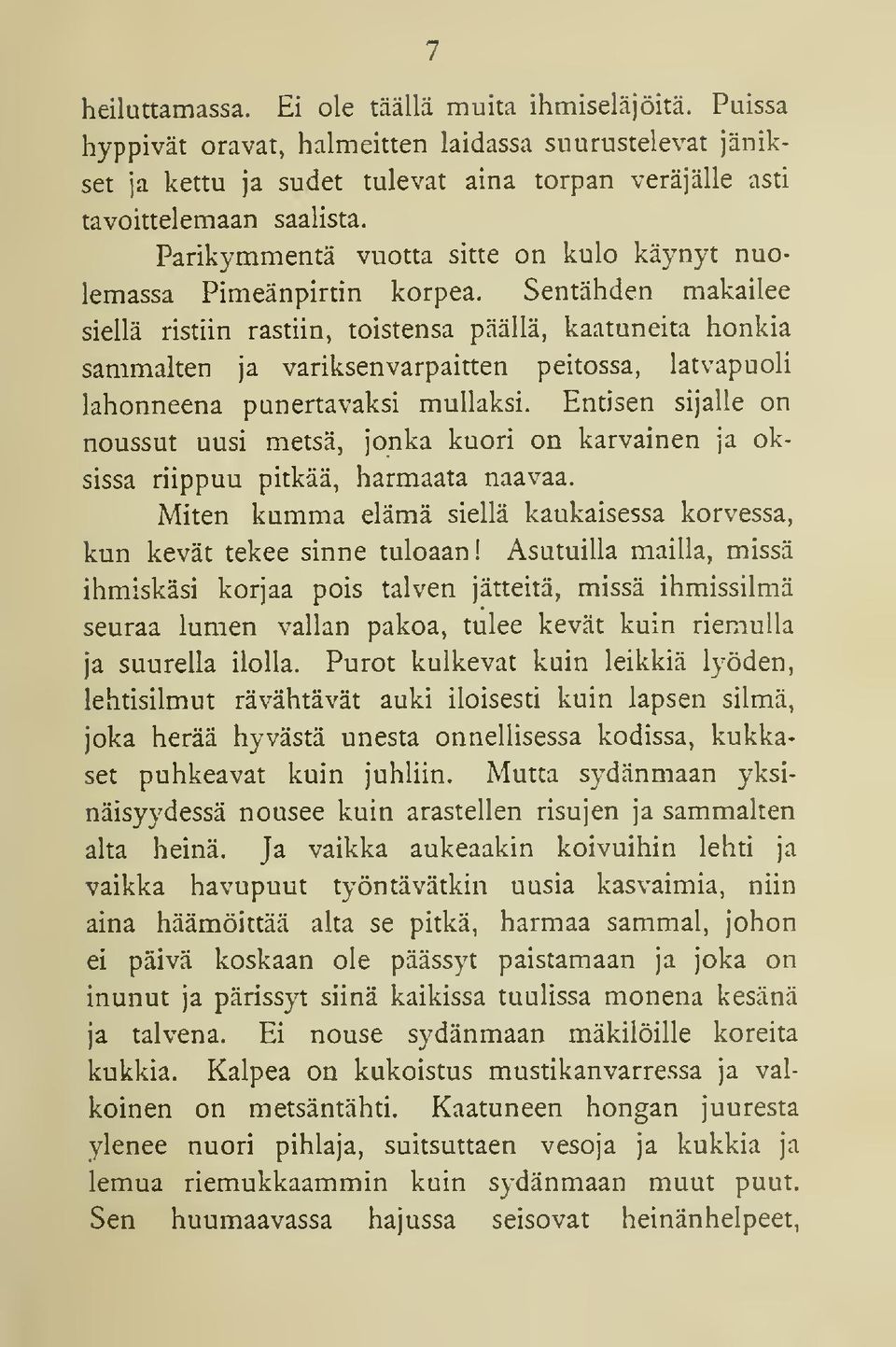 Sentähden makailee siellä ristiin rastiin, toistensa päällä, kaatuneita honkia sammalten ja variksenvarpaitten peitossa, latvapuoli lahonneena punertavaksi mullaksi.