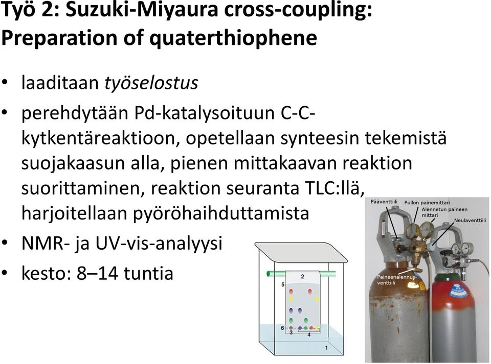 tekemistä suojakaasun alla, pienen mittakaavan reaktion suorittaminen, reaktion