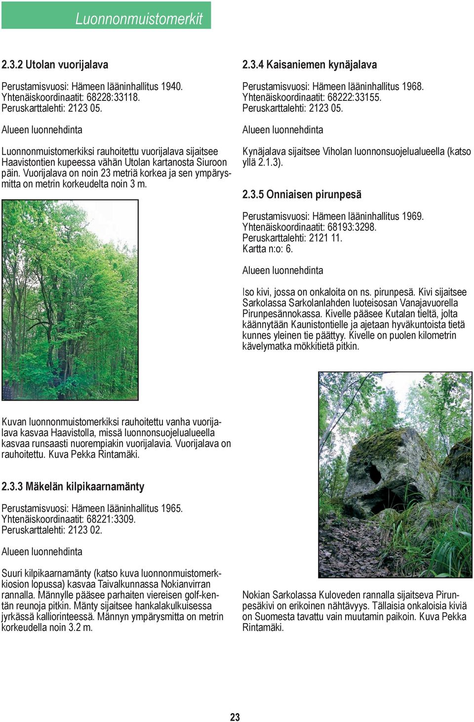 Vuorijalava on noin 23 metriä korkea ja sen ympärysmitta on metrin korkeudelta noin 3 m. 2.3.4 Kaisaniemen kynäjalava Perustamisvuosi: Hämeen lääninhallitus 1968. Yhtenäiskoordinaatit: 68222:33155.