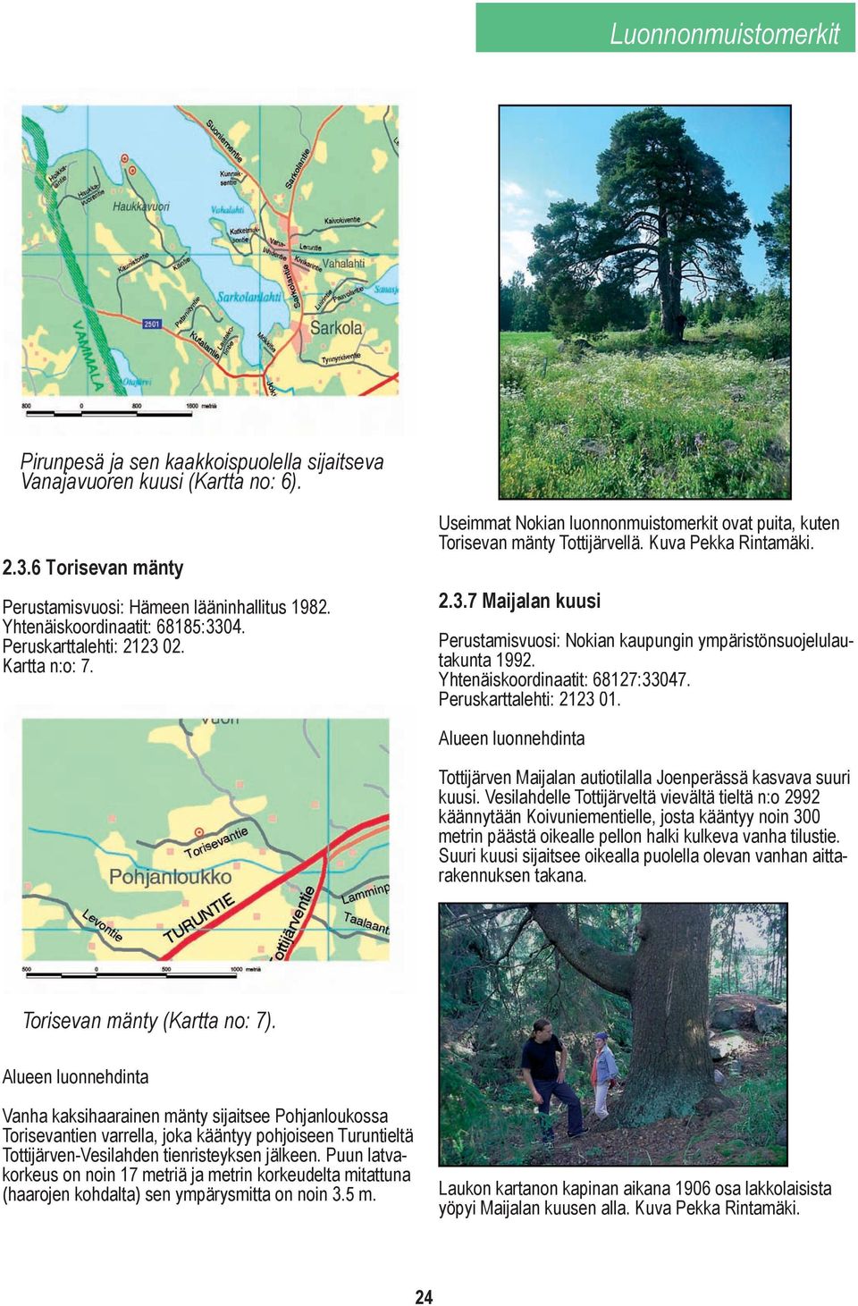 7 Maijalan kuusi Perustamisvuosi: Nokian kaupungin ympäristönsuojelulautakunta 1992. Yhtenäiskoordinaatit: 68127:33047. Peruskarttalehti: 2123 01.