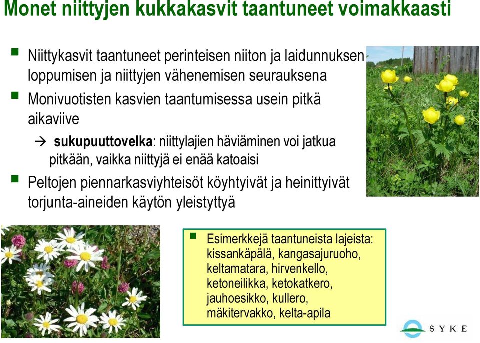 vaikka niittyjä ei enää katoaisi Peltojen piennarkasviyhteisöt köyhtyivät ja heinittyivät torjunta-aineiden käytön yleistyttyä Esimerkkejä