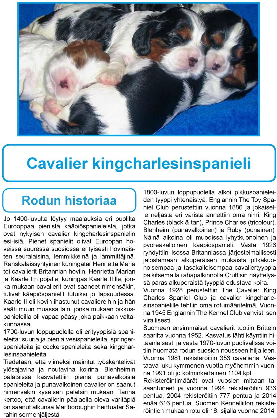 Ranskalaissyntyinen kuningatar Henrietta Maria toi cavalierit Britannian hoviin.