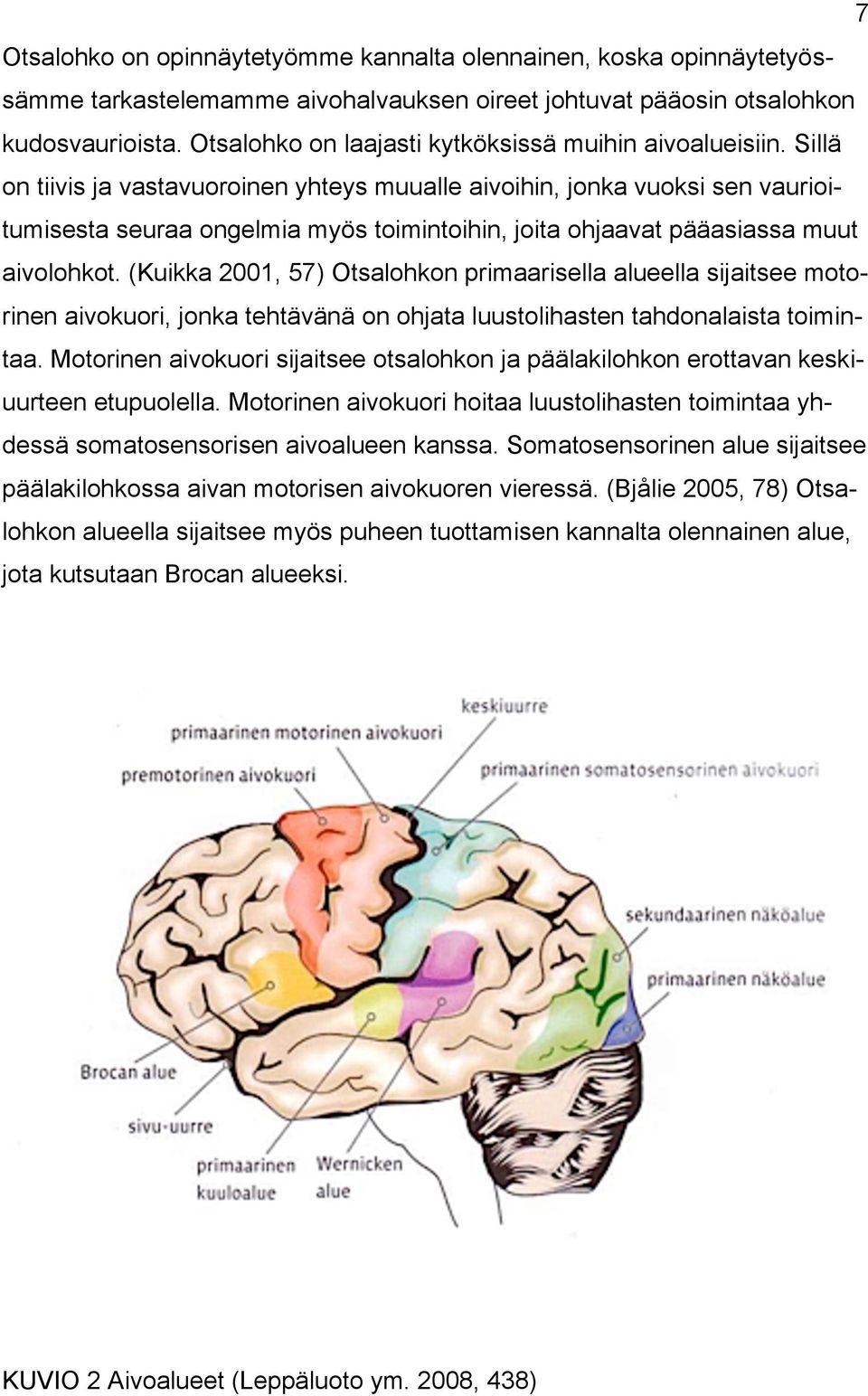 Sillä on tiivis ja vastavuoroinen yhteys muualle aivoihin, jonka vuoksi sen vaurioitumisesta seuraa ongelmia myös toimintoihin, joita ohjaavat pääasiassa muut aivolohkot.