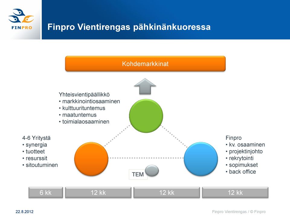 Yritystä synergia tuotteet resurssit sitoutuminen TEM Finpro kv.