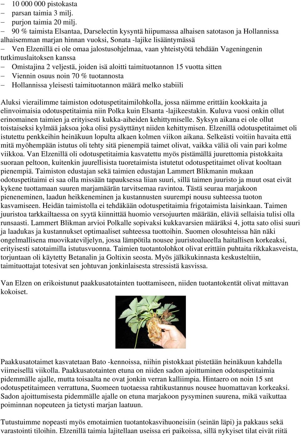 vaan yhteistyötä tehdään Vageningenin tutkimuslaitoksen kanssa Omistajina 2 veljestä, joiden isä aloitti taimituotannon 15 vuotta sitten Viennin osuus noin 70 % tuotannosta Hollannissa yleisesti