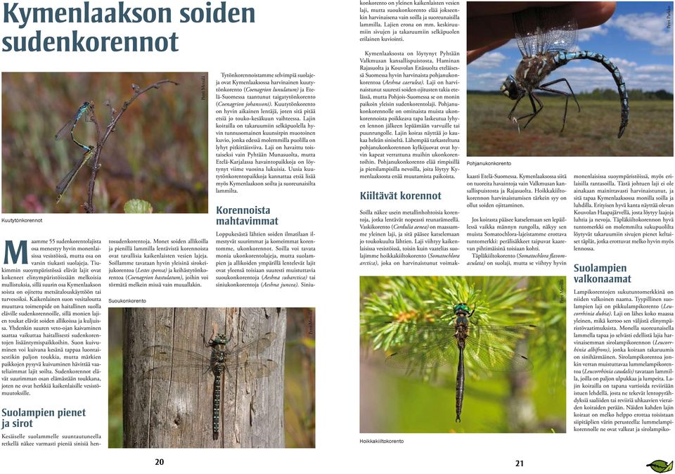 Petri Parkko Kuutytönkorennot Maamme 55 sudenkorentolajista osa menestyy hyvin monenlaisissa vesistöissä, mutta osa on varsin tiukasti suolajeja.